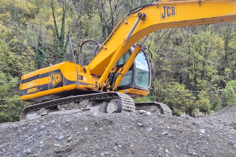 OmecoHub - Immagine JCB JS200N